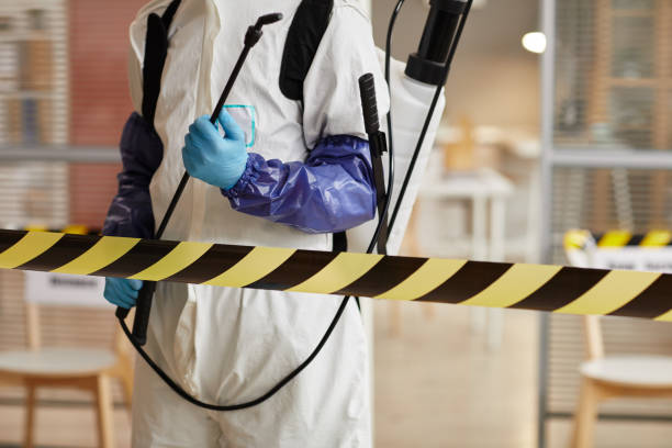 Professional Hoarding Cleanup technician working in Great River, NY